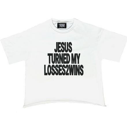 Jesus Did T-shirt W&B